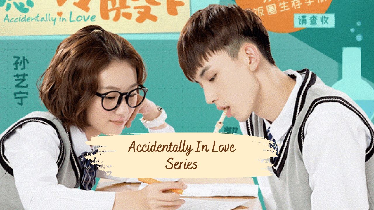 Accidentally In Love Series